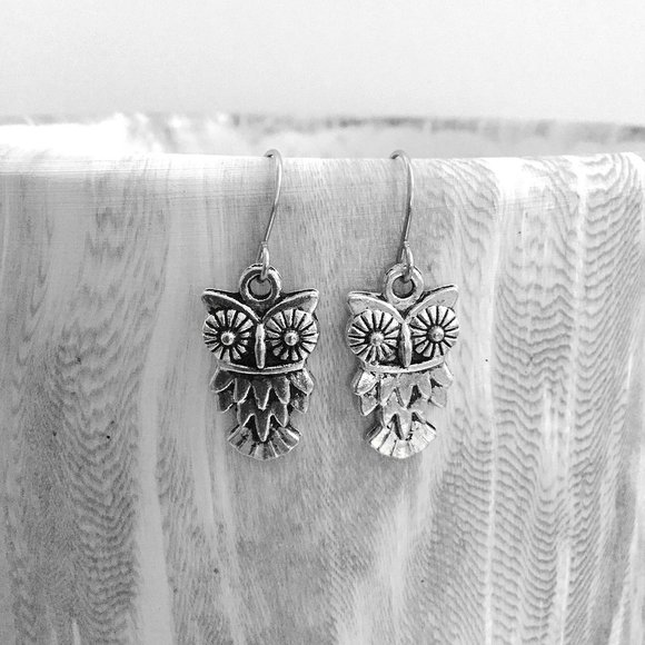 Miniature Adorable Cute Feathered Owl lovers Hypoallergenic Ear wires Earrings - Picture 3 of 5